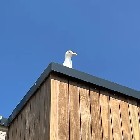 Lieblingsplatz Surf Rescue Club Grömitz