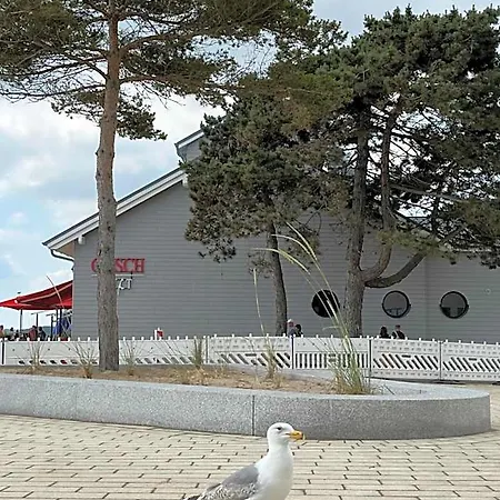 Lieblingsplatz Surf Rescue Club